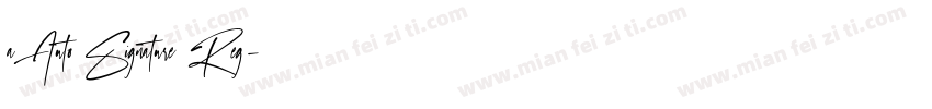a Auto Signature Reg字体转换